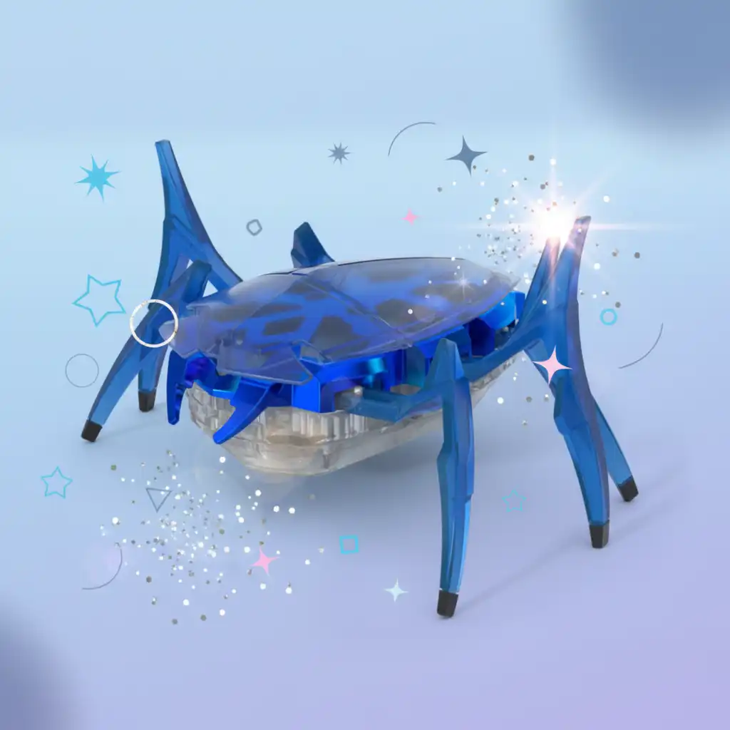 Create your own robotic track and test the beetle’s senses.