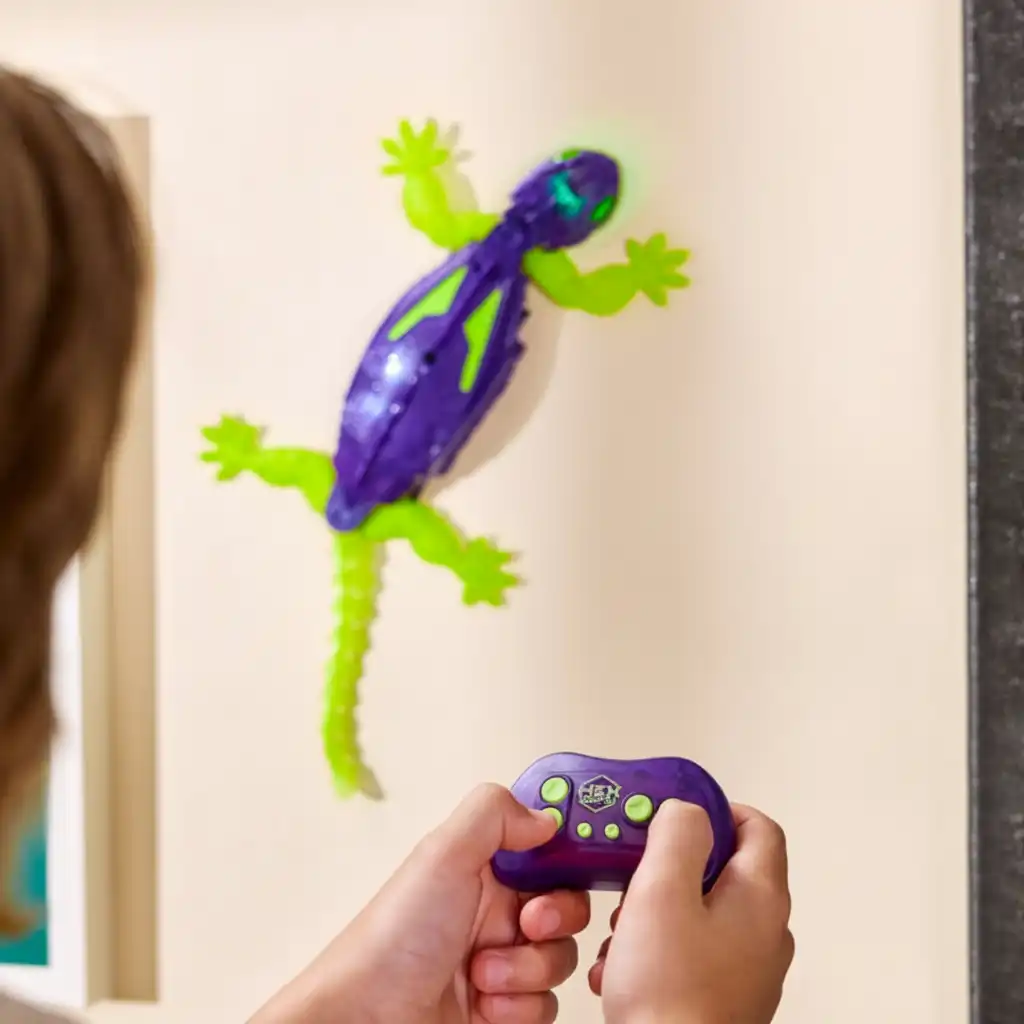 Discover endless possibilities of play on the ground and on walls.